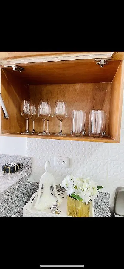 Super Luxurious L6 Sky Blue Apartment Saint-Domingue République dominicaine